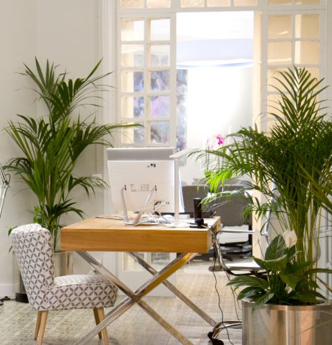 Coworking Wekow Balmes y Rosselló