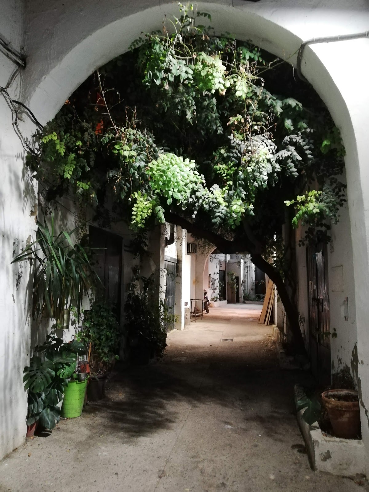 Coworking La bañera del Pelícano