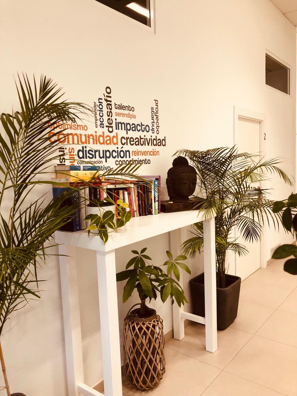 CoWorking Plus Alicante