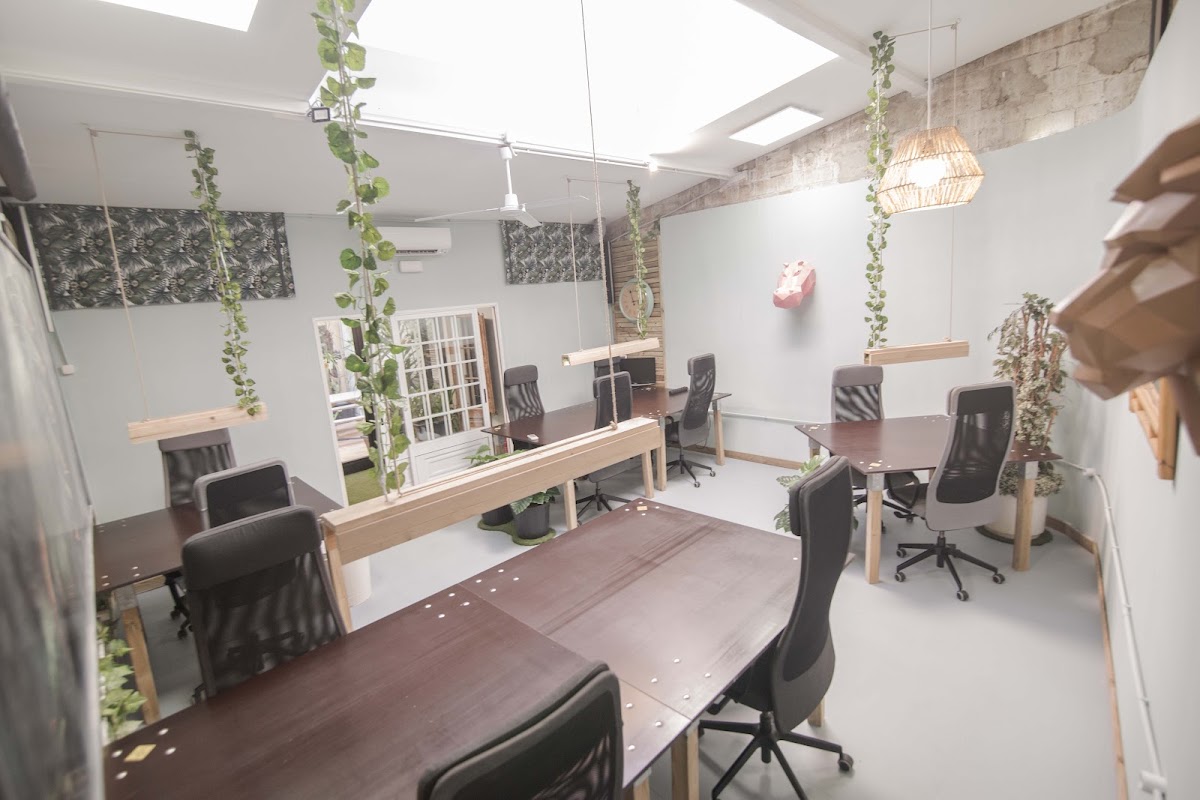 Jungle Coworking - Coworking creativo en Poble Nou, Barcelona