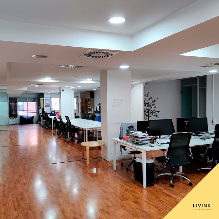 LIVINK Coworking Templo de Debod