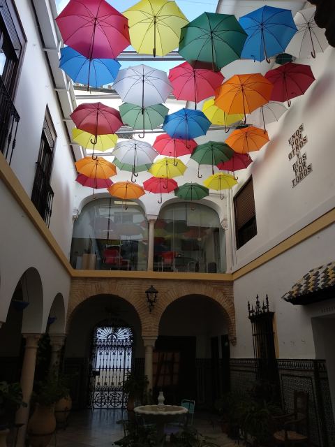 centro de coworking elpatio