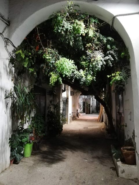 Coworking La bañera del Pelícano