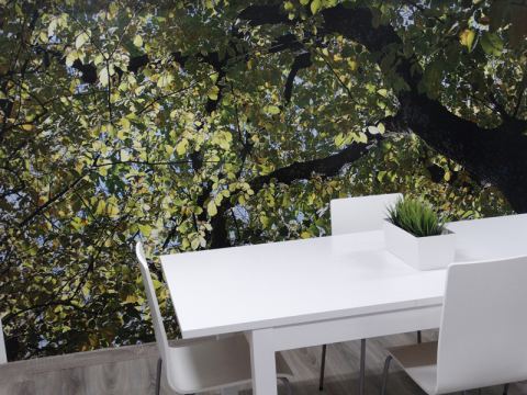 La Planta Coworking