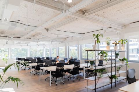 Aticco Maria De Molina - Coworking en Madrid