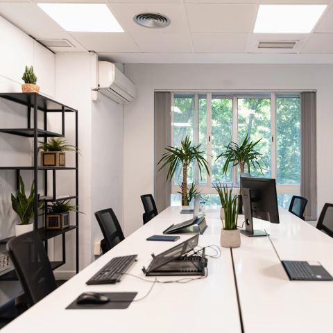 Oxygen Workspace