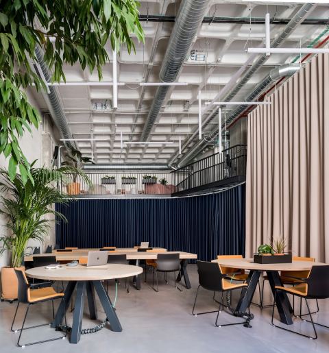 Area Coworking